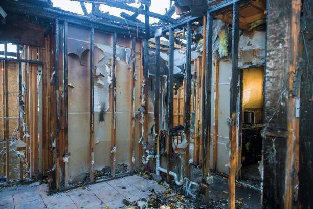 Professional Fire Damage Assessment technician working in Country Lake Estates, NJ